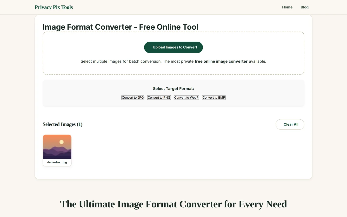 Target format buttons for JPG, PNG, WebP and BMP with a selected image queued for conversion