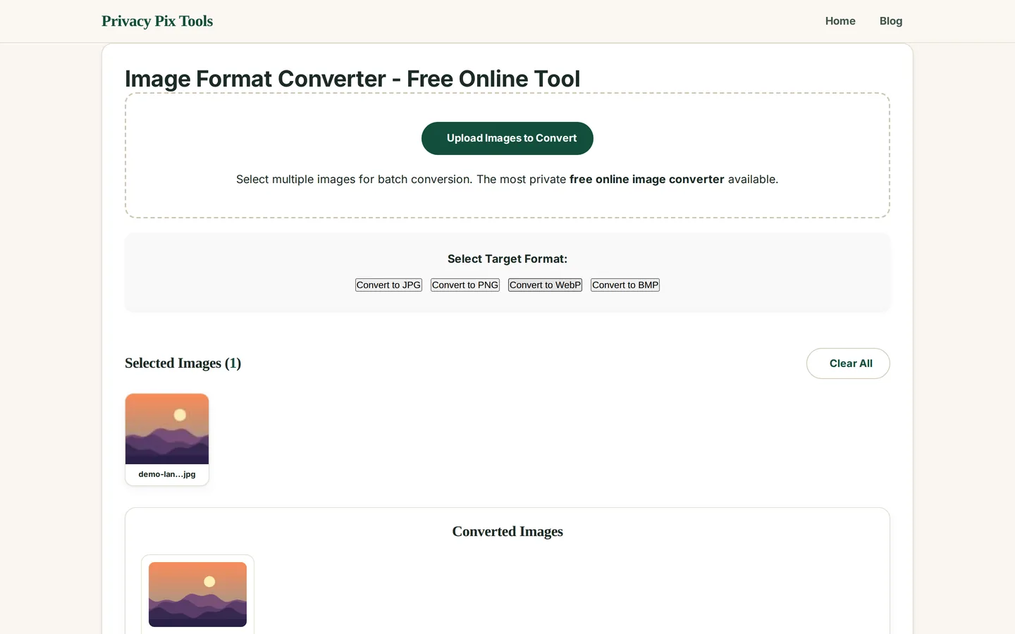 Converted Images section showing the finished file ready for download