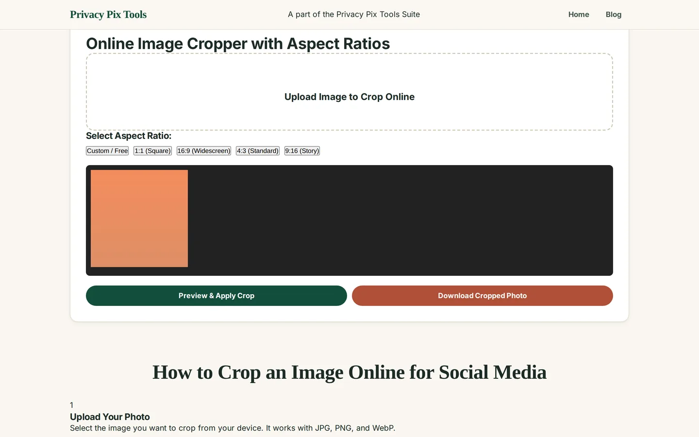 Cropped square result previewed on the canvas with the download button available