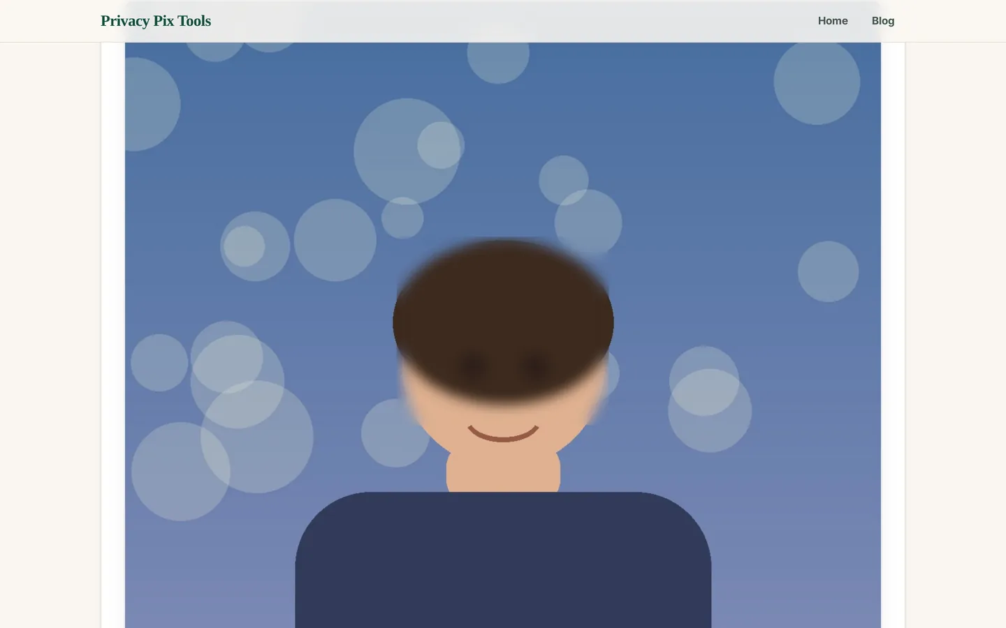 Face blurred in the photo after dragging a redaction rectangle over it