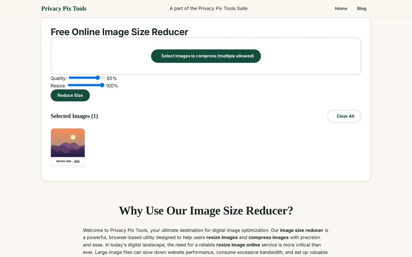 Quality and Resize sliders in the image compressor set to 85 percent quality and 100 percent size