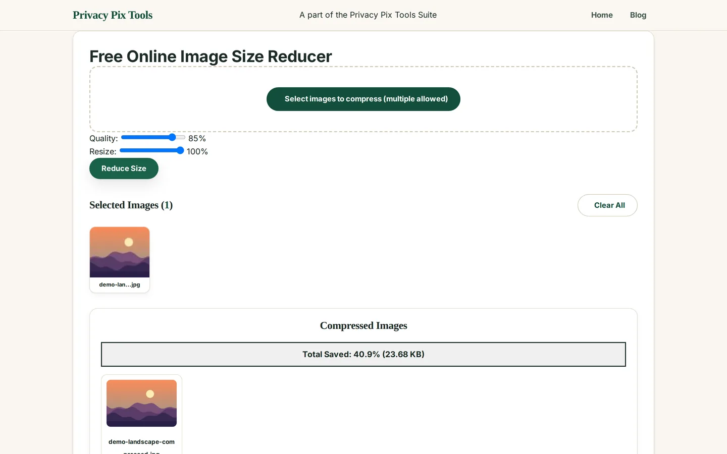 Compression results showing total saved 40.9 percent with the compressed image ready to download
