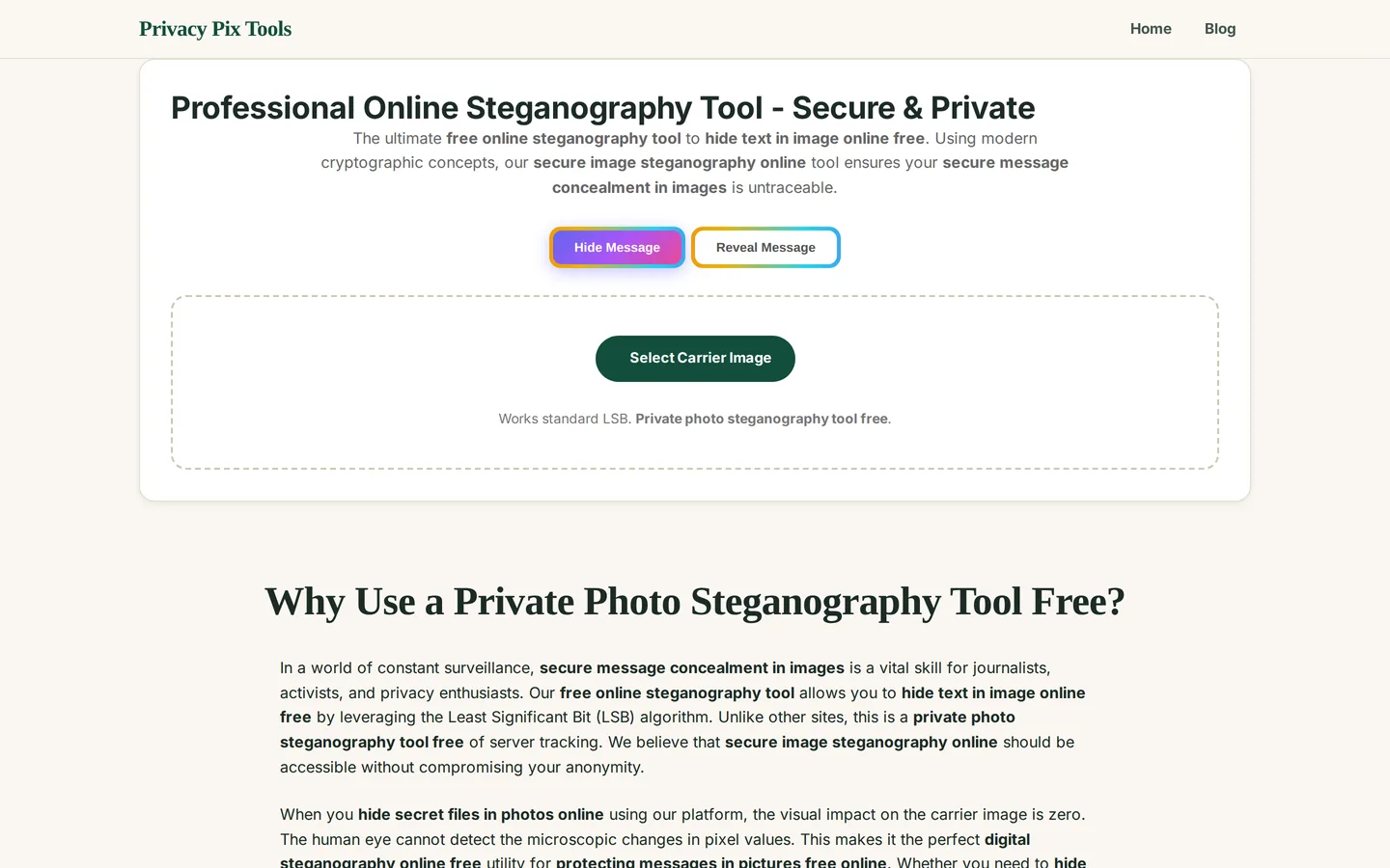 Steganography tool with Hide Message and Reveal Message modes and the Select Carrier Image button