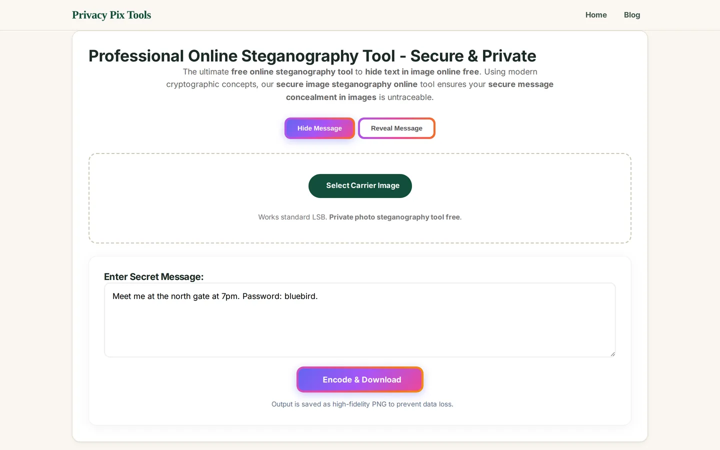 Secret message typed into the steganography tool with the Encode and Download button ready