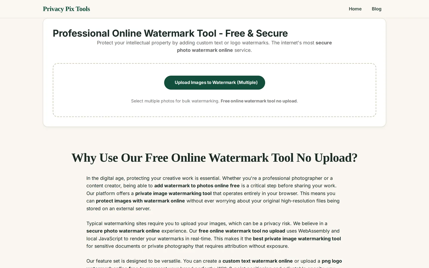 Watermark tool upload screen supporting multiple images for bulk watermarking