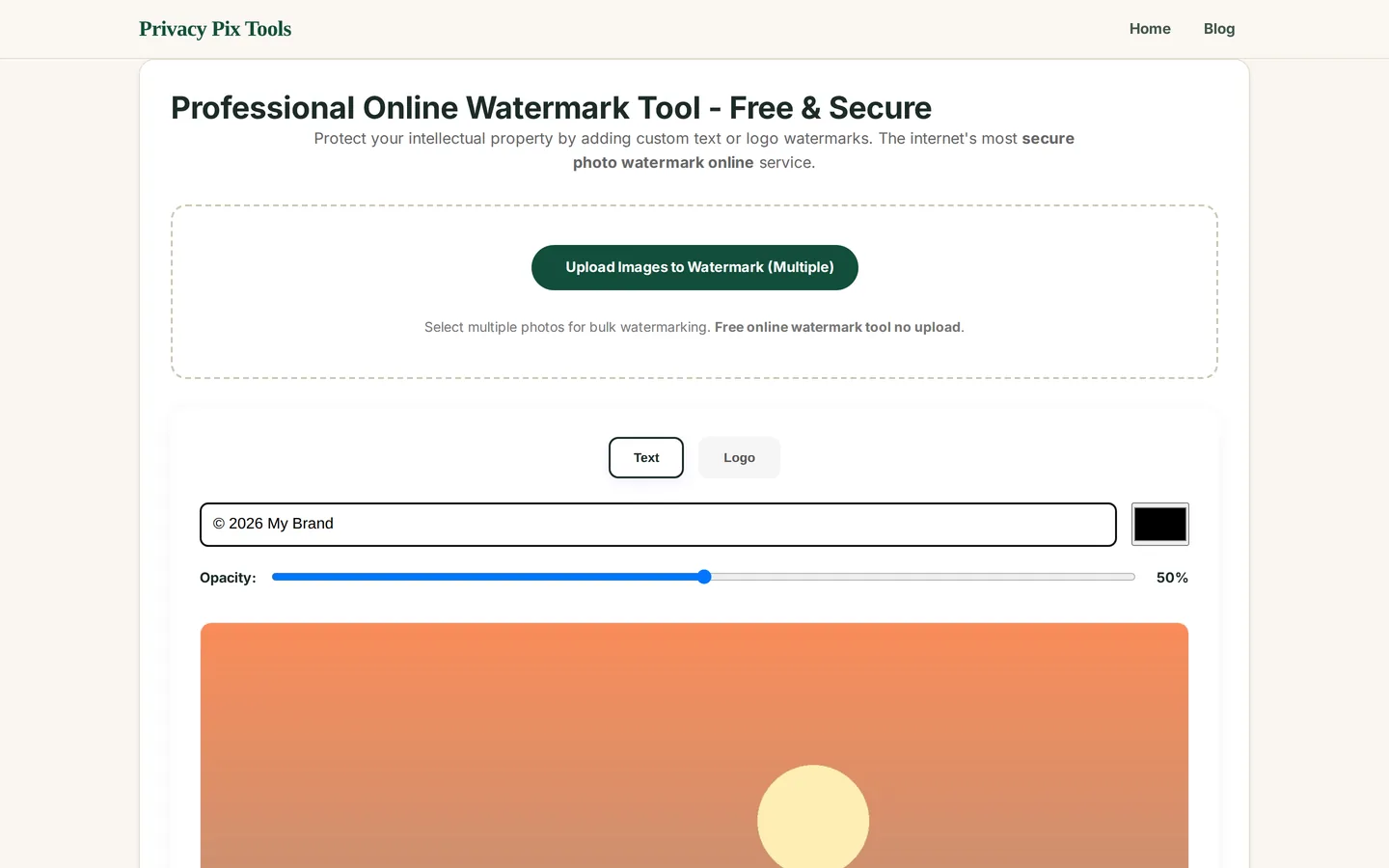 Watermark text field with copyright text entered, color picker and opacity slider